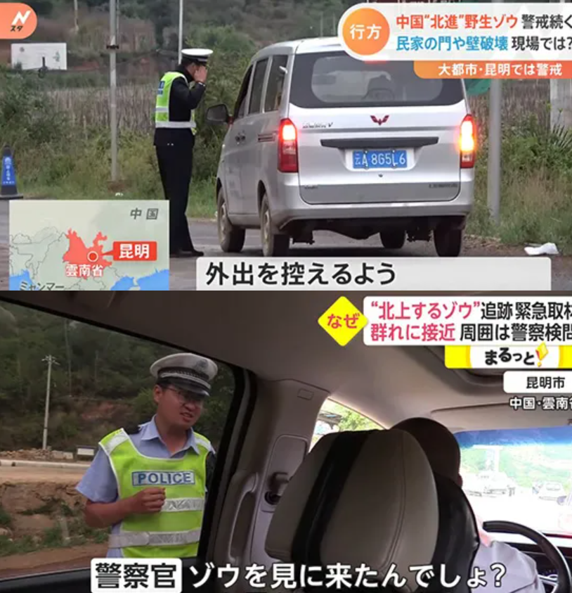这15个一夜爆红的明星 拍出了今年最好的国家宣传片 长春市图书馆 微信公众号文章 微小领
