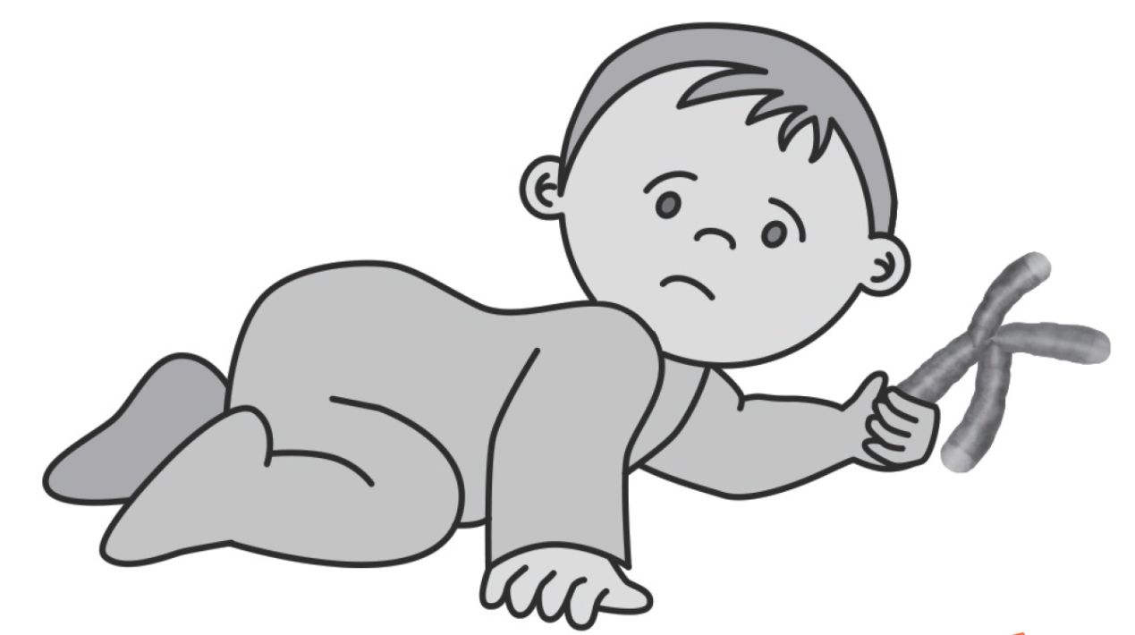 端粒效应23 你的端粒可以影响孩子的健康 正说医道 微信公众号文章阅读 Wemp