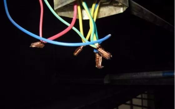 甘肃电力铁附件