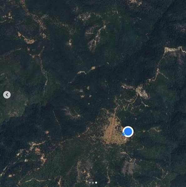 三个闺蜜躲荒野，在400亩地上穿着比基尼喂鸡，扛着真枪打熊…（组图） - 3