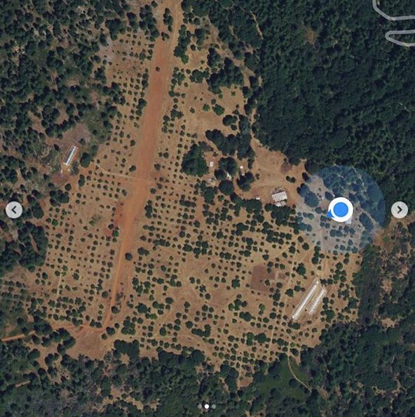 三个闺蜜躲荒野，在400亩地上穿着比基尼喂鸡，扛着真枪打熊…（组图） - 2
