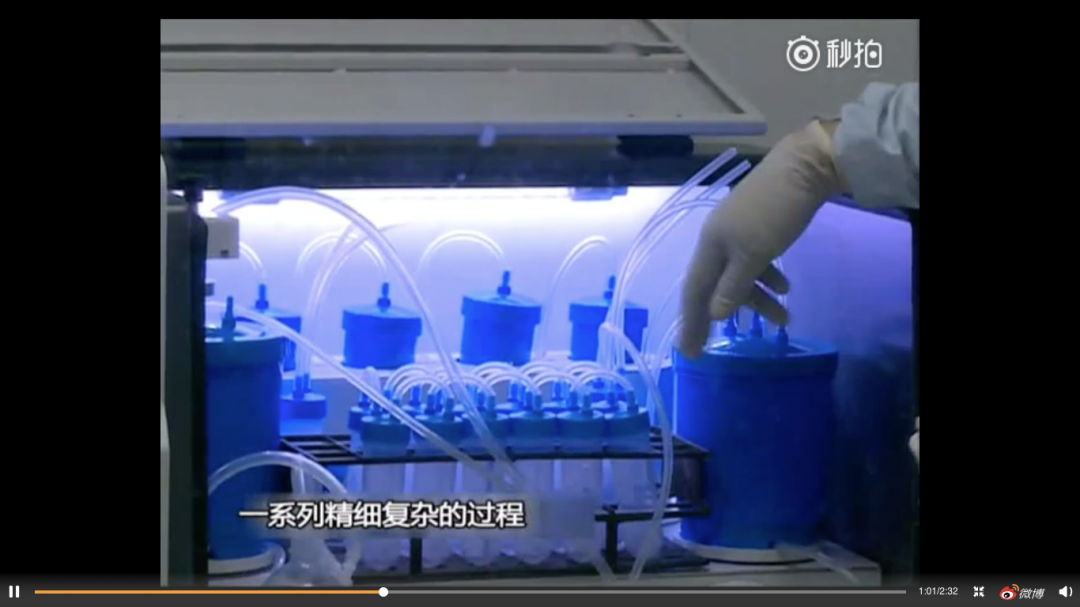 秃顶有救了？不过可能要吞屎才行...科学脑洞是无穷的（组图） - 10