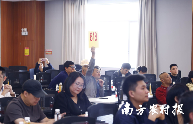 现场观众踊跃竞拍