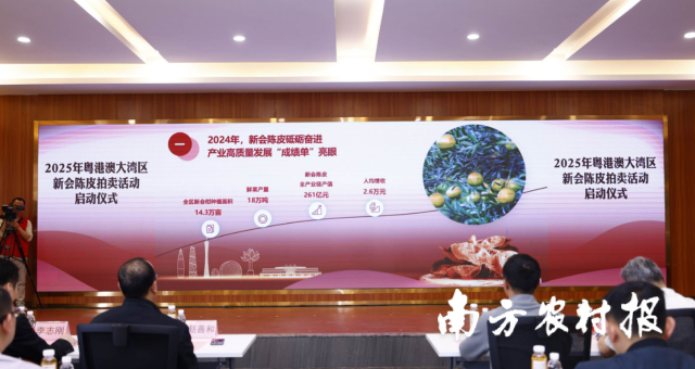 2024年新会陈皮产业成绩亮眼