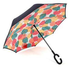 640 (1).webp (2).jpg