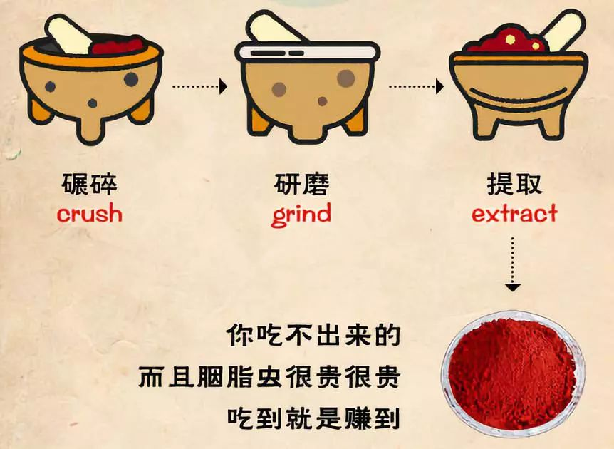 天然稳定红色素胭脂虫红