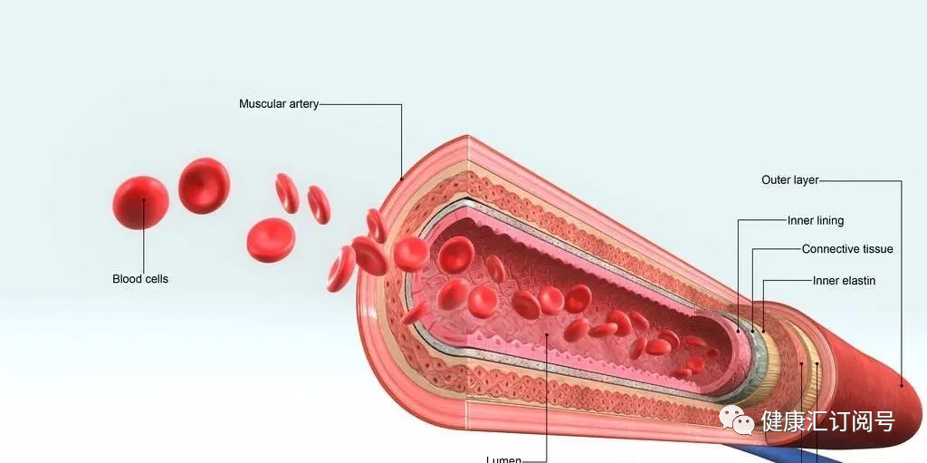 三氧疗法怎么代理三氧疗法是国内外一种纯天然无副作用的绿色疗法——您知道吗_https://www.jmylbn.com_新闻资讯_第5张