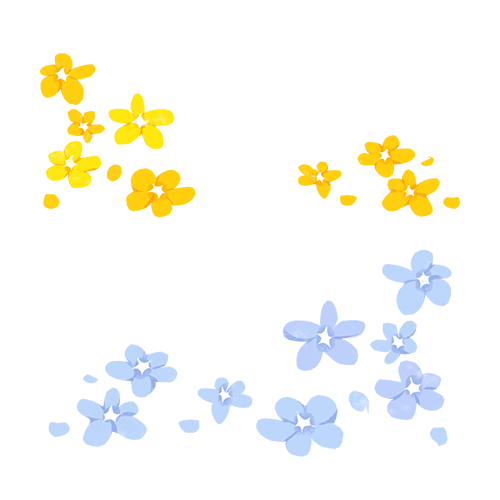 新店开业 | 平湖分院开业仪式圆满成功！