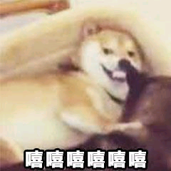 夏天来了，你家的宠物也这样吗？