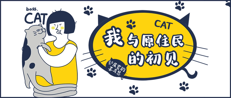 猫咪身上最大的秘密竟是....