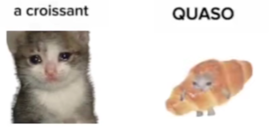 猫狗：虽然我不上网，但互联网上我们无处不在