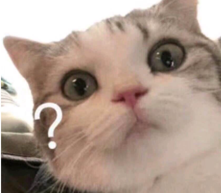 猫疱疹病毒，终身携带？！