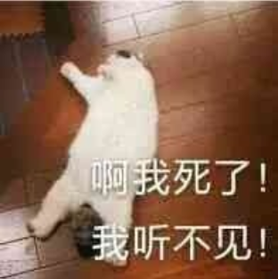 @你家的猫咪：你相信光吗？