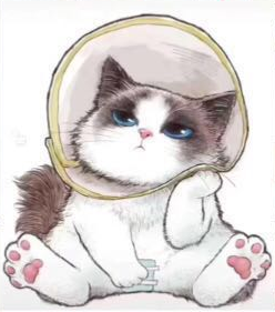 @你家的猫咪：你相信光吗？