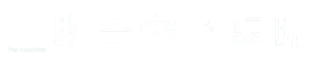 @你家的猫咪：你相信光吗？