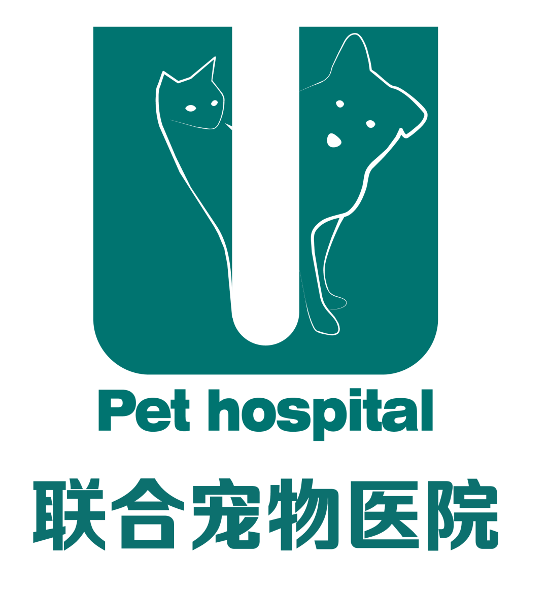 @你家的猫咪：你相信光吗？