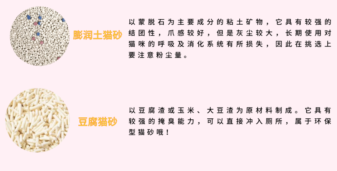 这样的生活，你准备好了吗？