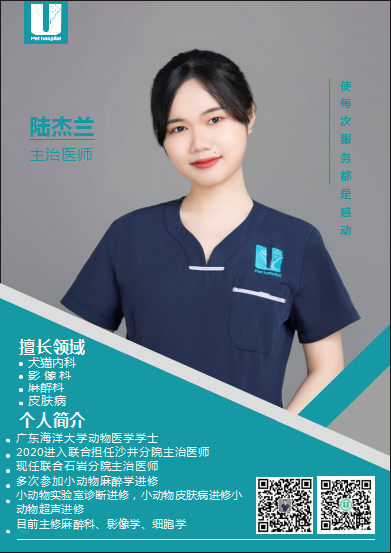 这难道不比东京奥运会开幕燃？