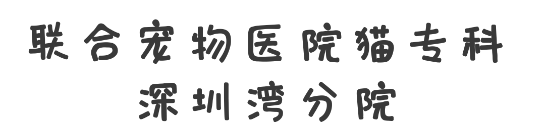萌猫出道计划，快来为它出谋划策吧！