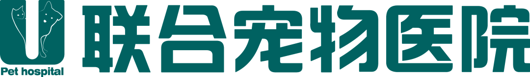 狗狗夏日出行攻略？拿来吧你！