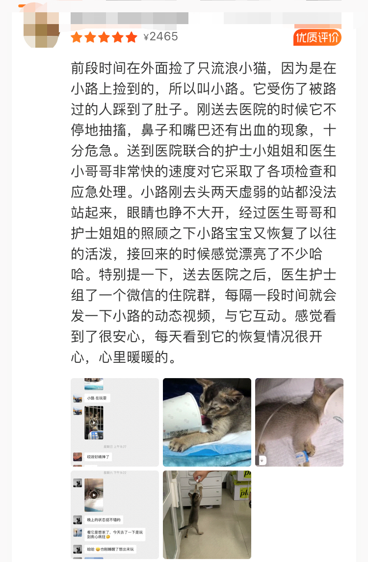 中国兽医日 | 表白每一位兽医师