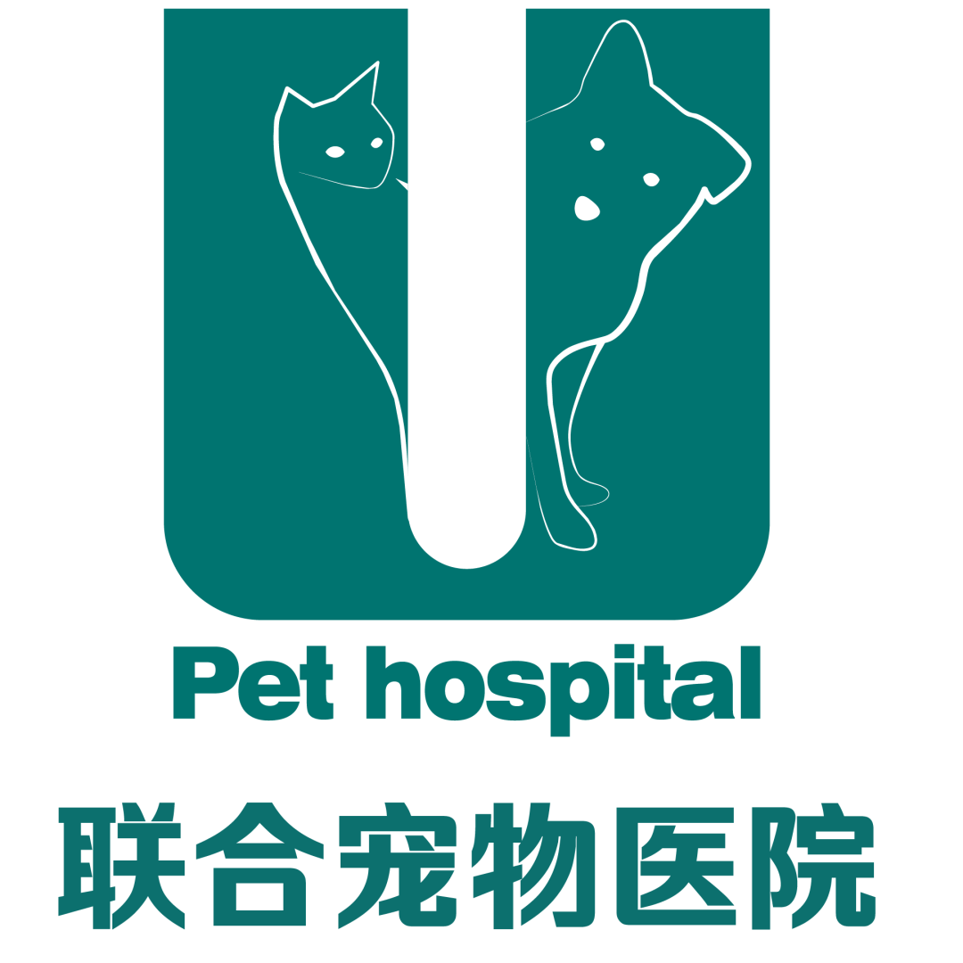 我在网上“淘”了只新猫！