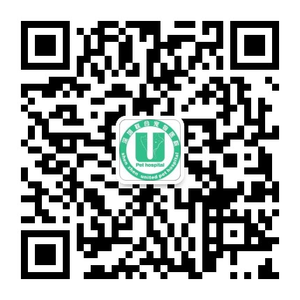 @你家的猫咪：你相信光吗？