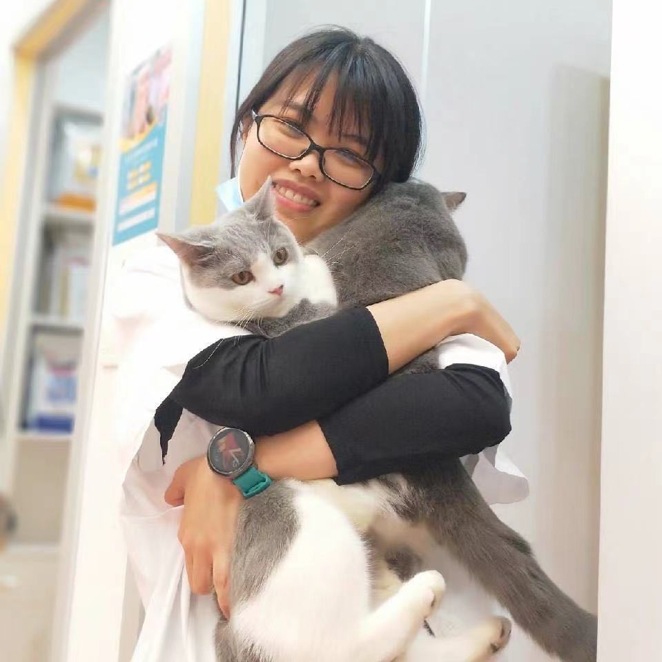 @你家的猫咪：你相信光吗？