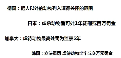 你可以不爱，但请别伤害