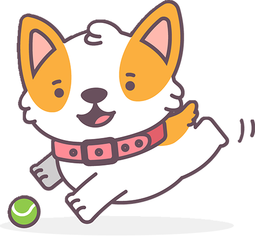 狗狗的隐藏技能，你解锁了几个呢？