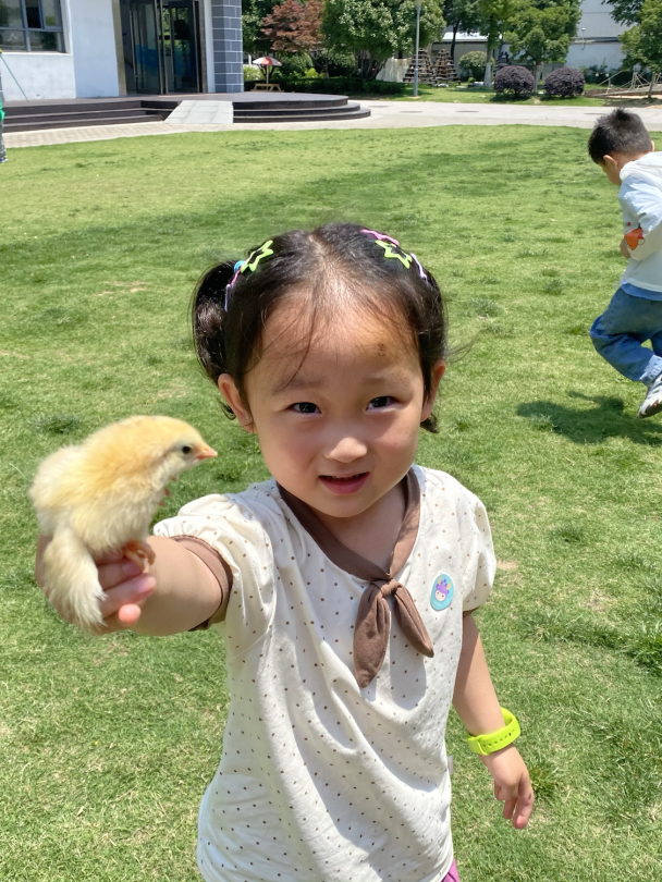 心得经验幼儿园怎么写_幼儿的心得体会简单写_幼儿经验心得