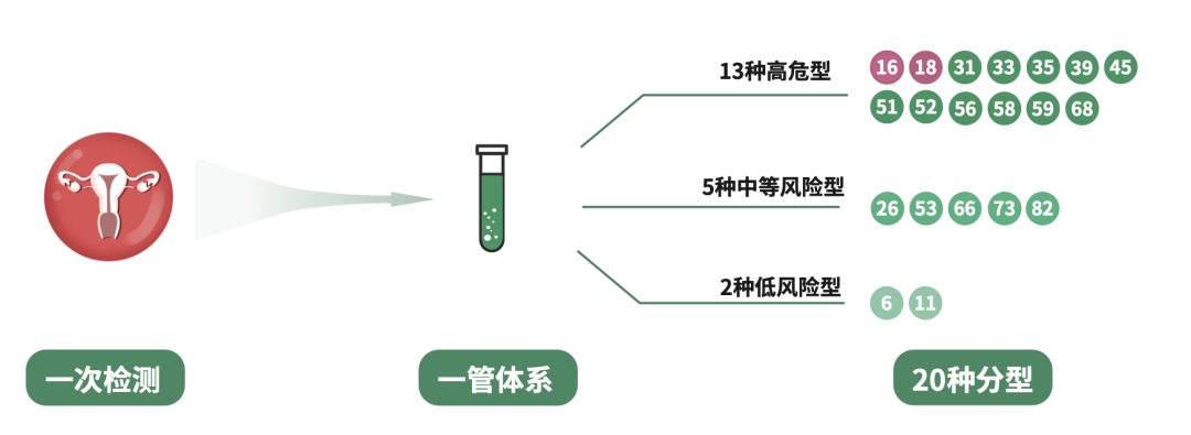 hpvdna分型分为什么型重磅喜讯 ｜ 达安基因HPV分型检测试剂上“芯”品啦！_https://www.jmylbn.com_新闻资讯_第13张