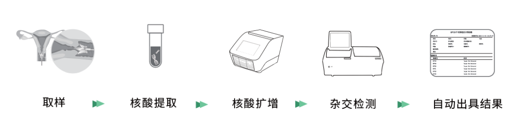 hpvdna分型分为什么型重磅喜讯 ｜ 达安基因HPV分型检测试剂上“芯”品啦！_https://www.jmylbn.com_新闻资讯_第9张