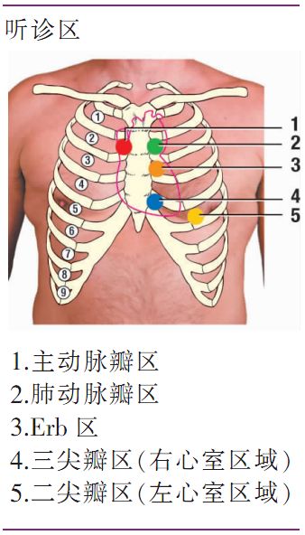 偷偷告訴你幾個提高心音聽診技能的有效方法 臨床基本功 醫脈通心血管 微文庫