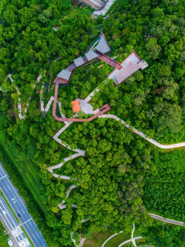 「公园20分钟效应」超治愈! | 坐地铁游佛山⑩