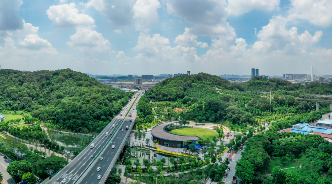 「公园20分钟效应」超治愈! | 坐地铁游佛山⑩
