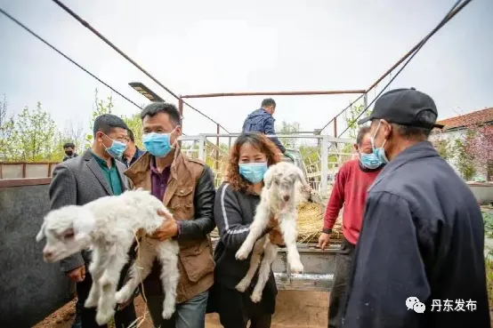 奔走相告(海角平台)“海角论坛”,【聚焦】这里是中国海角 东港,海角平台在线使用,短剧,插图20 奔走相告(海角平台)“海角论坛”,【聚焦】这里是中国海角 东港,海角平台在线使用,短剧,插图20