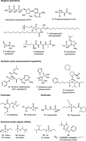 康寧認證實驗室：方法學、全合成及工業相關靶標制備的典型實例綜述