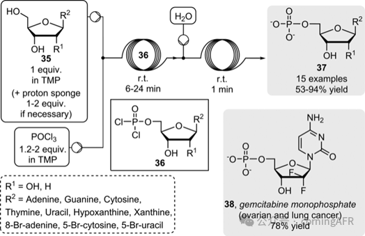 康寧認證實驗室：方法學、全合成及工業相關靶標制備的典型實例綜述