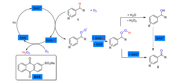 從平凡到非凡：三家合作共創(chuàng)綠色光氧化奇跡