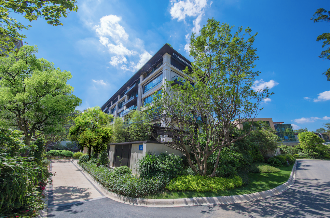 这样的生活，只有白云配得上！