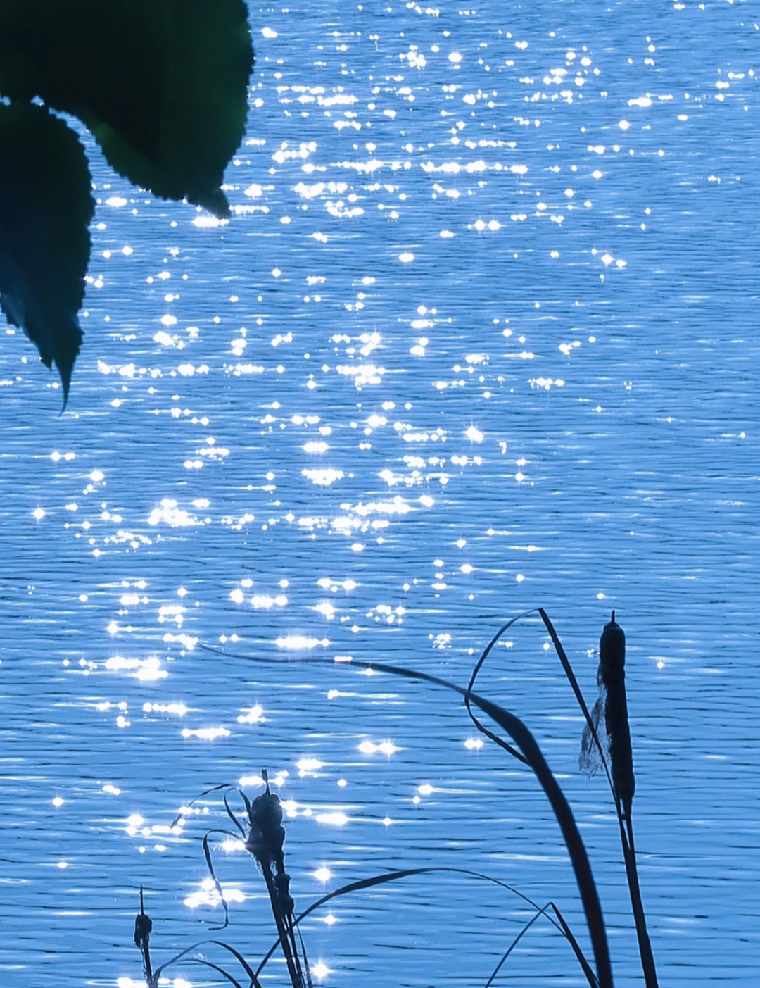 公园湖面这么拍,blingbling! - 摄影技巧