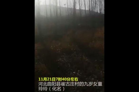 為何僅靠賠錢難治爛狗主？ 寵物 第1張