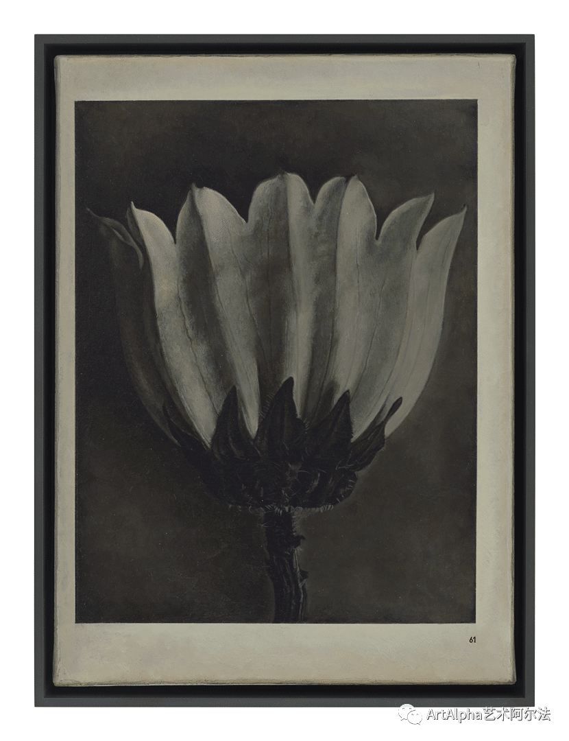 Artalpha专栏 刘野最新展览 书与花 Artalpha艺术阿尔法 微信公众号文章阅读 Wemp