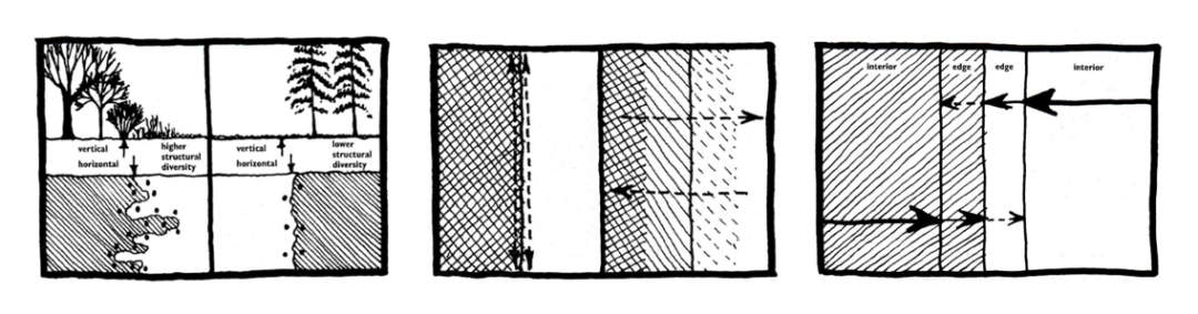 景观设计和土地利用规划中的景观生态学原理