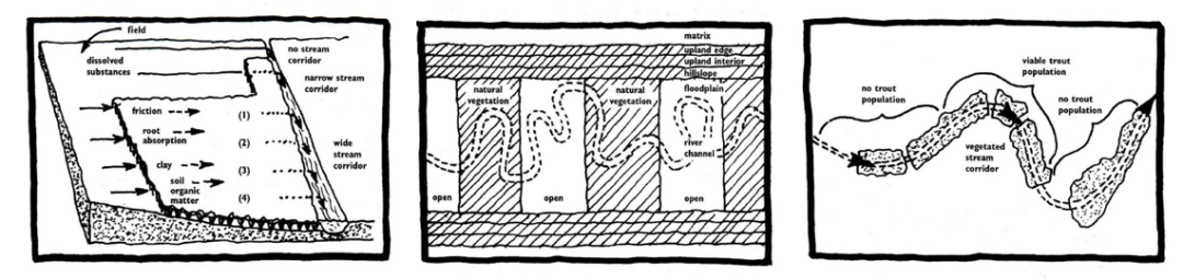 景观设计和土地利用规划中的景观生态学原理