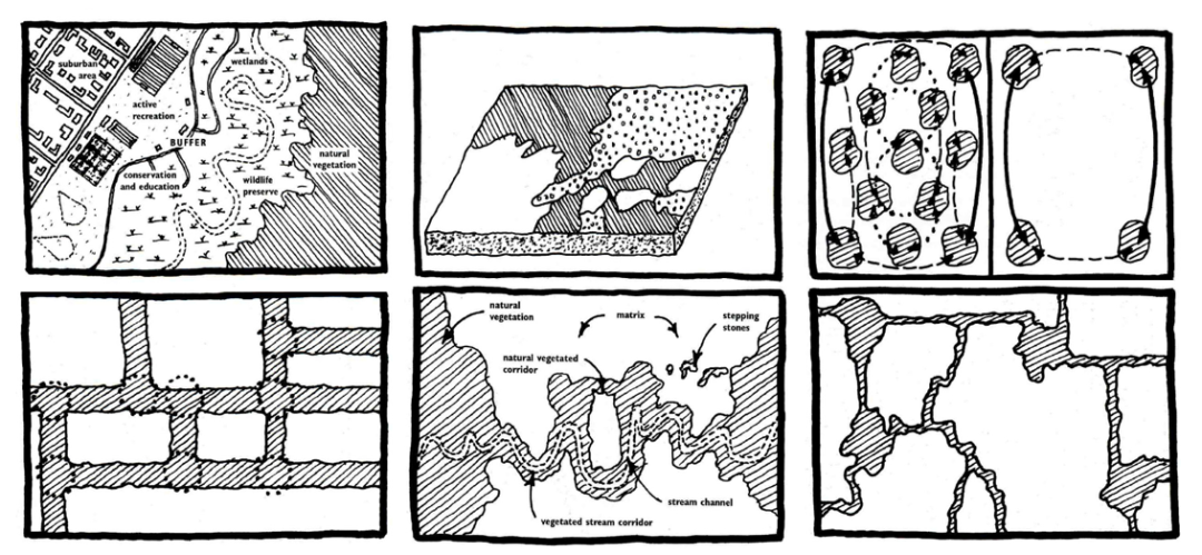 景观设计和土地利用规划中的景观生态学原理