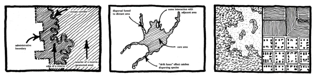 景观设计和土地利用规划中的景观生态学原理