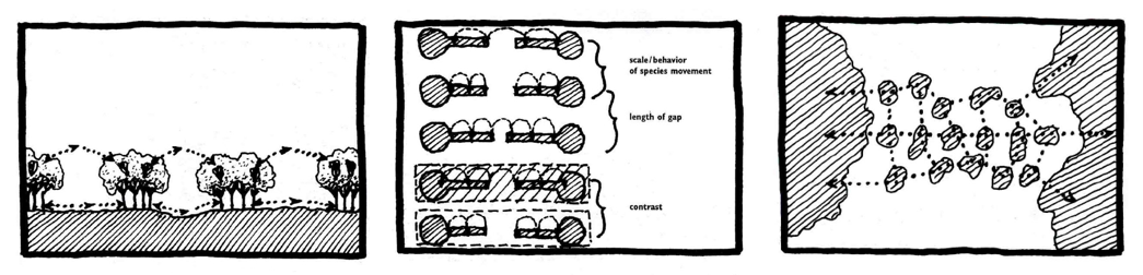 景观设计和土地利用规划中的景观生态学原理