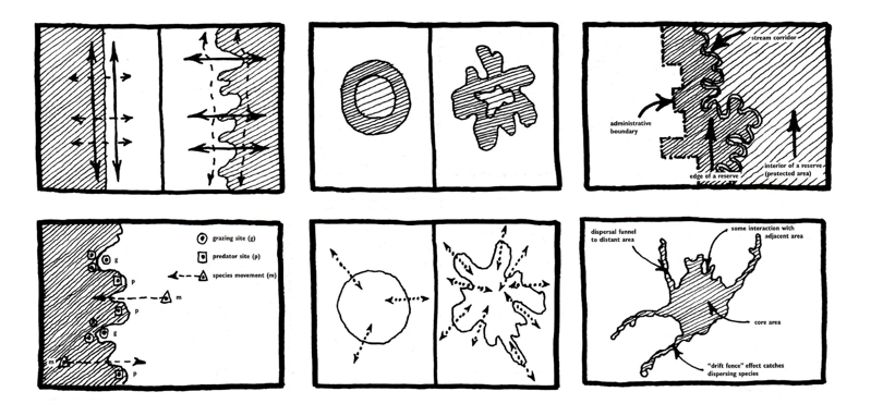 景观设计和土地利用规划中的景观生态学原理